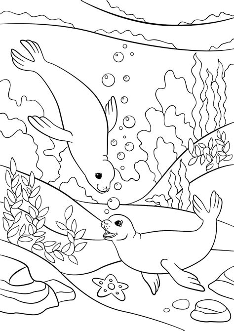 Free SEAL Coloring Pages for Download (Printable PDF)