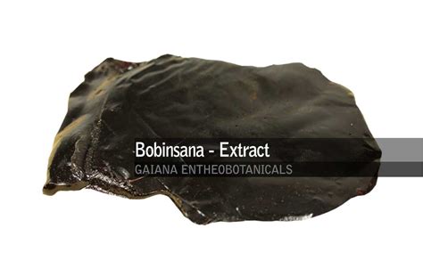 Bobinsana -60:1 Extract- | Gaiana