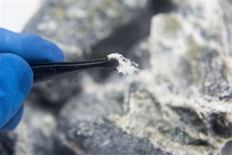 Chrysotile Asbestos Fiber Close Up. Stock Photo - Image of close ...