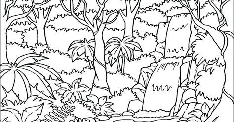 Layers Of The Rainforest Coloring Page at GetDrawings | Free download