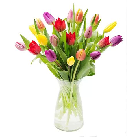 20-Stem Bunch of Tulips at Whole Foods Deals