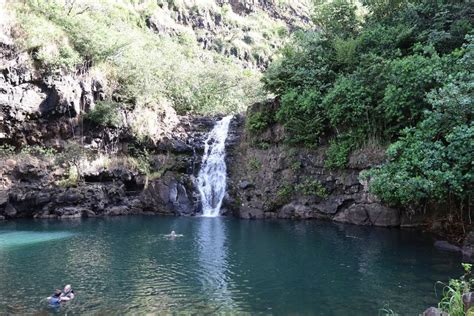 Waimea Falls: A Complete Guide to Hiking Waimea Valley