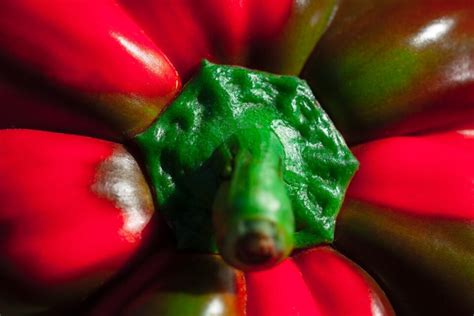 All About the Versatile Pimento Pepper - Minneopa Orchards