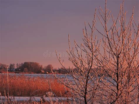 Lithuanian Winter Landscape Stock Photo - Image of evening, nemunas: 57411794