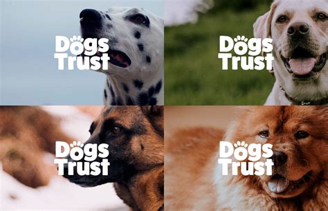 Dogs Trust on Behance