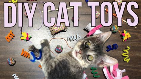 Cat Enrichment Toys Diy | Wow Blog