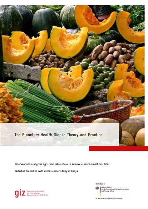 The Planetary Health Diet in Theory and Practice - DocsLib