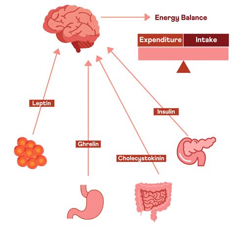 Overcoming Overeating: Satiety Response and Genetics