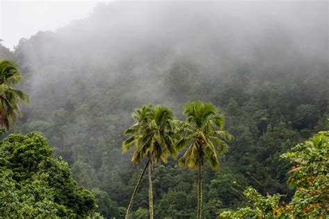 Rarotonga & the Cook Islands Weather in December