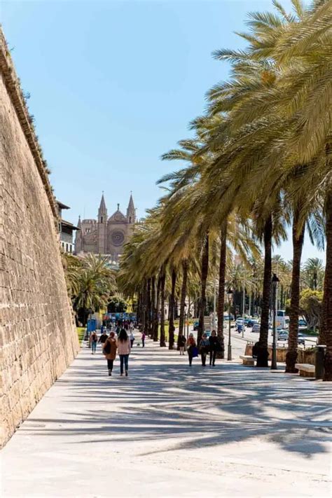 22 Best Things To Do In Palma De Mallorca Spain [2024]