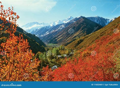 Fall colors of mountains stock image. Image of foliage - 11603469