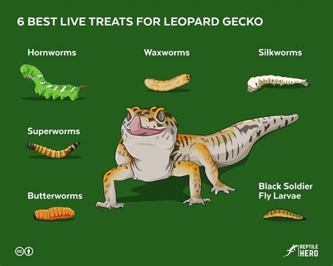 The 3 Best Treats To Make Your Leopard Gecko (Really) Happy - Reptile Hero