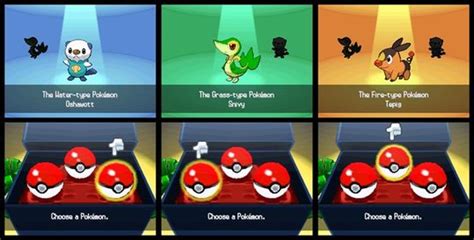 Pokemon Black and White Guide/Walkthrough