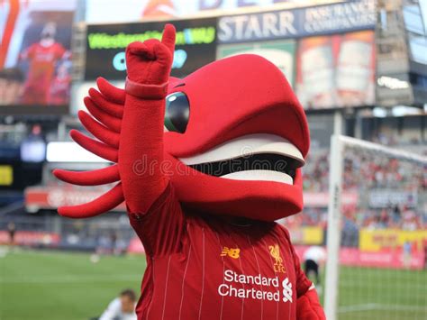 Liverpool Mascot `Mighty Red` at Yankee Stadium before the 2019 Western ...