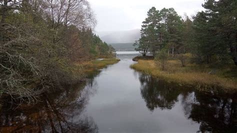 Loch Morlich (Aviemore, Scotland): Top Tips Before You Go (with Photos) - TripAdvisor