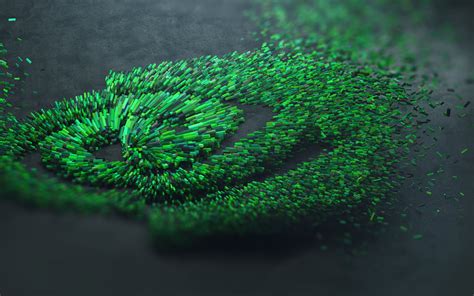 Green and black leaf plant, Nvidia, green, logo HD wallpaper | Wallpaper Flare