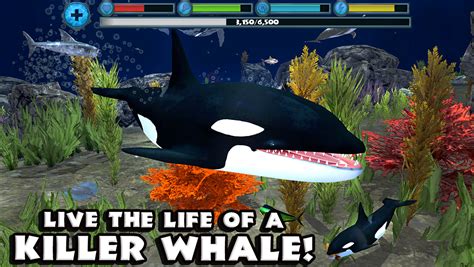 App Shopper: Orca Simulator (Games)