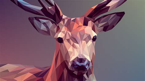 HD wallpaper: polygon, polygon art, low poly art, deer, low-poly art ...