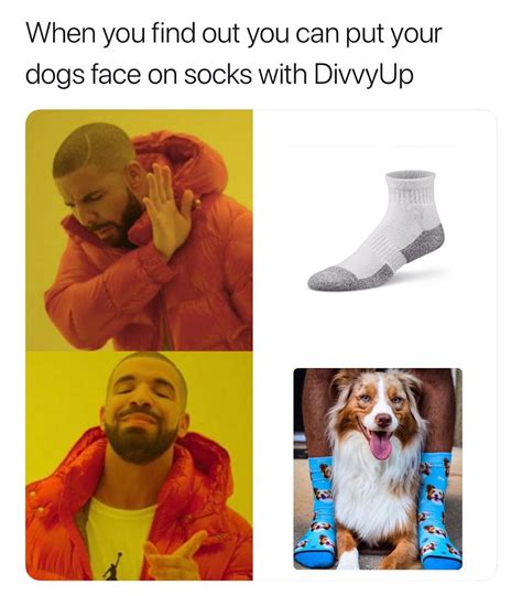 When you find out you can put your dogs face on socks with DivvyUp. - Funny