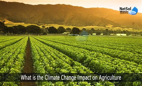 What is the Climate Change Impact on Agriculture