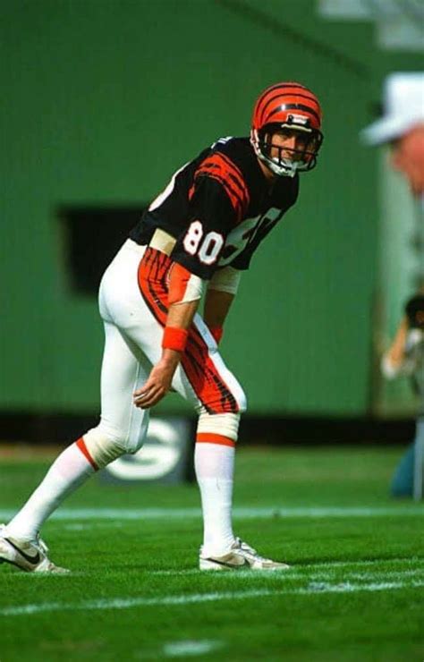 Cris Collinsworth | Cincinnati bengals football, Bengals football, Nfl ...