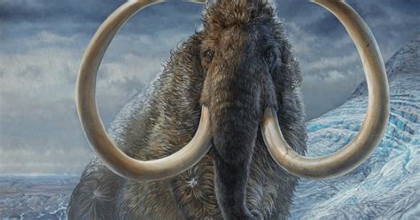 Scientists map 17,000-year-old woolly mammoth's path using its tusk - CNET