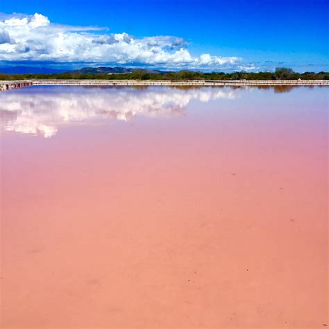 PINK WATER IN PUERTO RICO - My Darling Passport