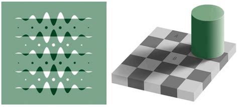 Color Constancy Illusion – Introductory Psychology