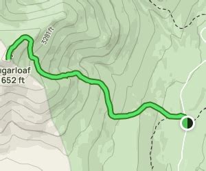 Sugarloaf Mountain Trail: 140 Reviews, Map - New Hampshire | AllTrails