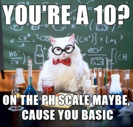 Science Cat meme 5 – EntertainmentMesh