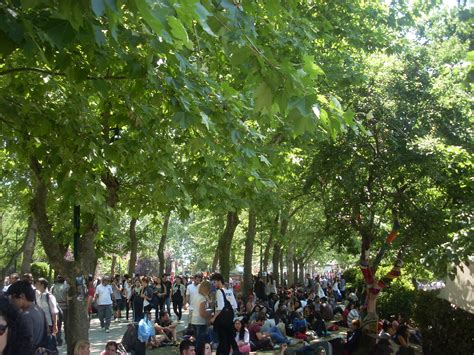 File:2013 Taksim Gezi Park protests,People at Taksim Gezi Park on 3rd Jun 2013.JPG - Wikimedia ...