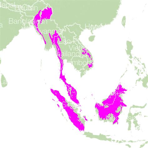 Bear Species Distribution Map