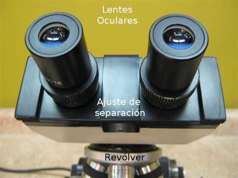 el Blog del Profe de Biolo: Partes del Microscopio óptico y su función