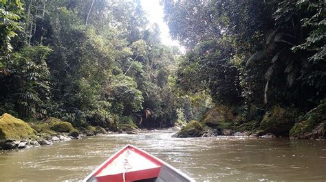 Serra do Divisor: Brazil's Gateway to Amazonian Wilderness | LAC Geo