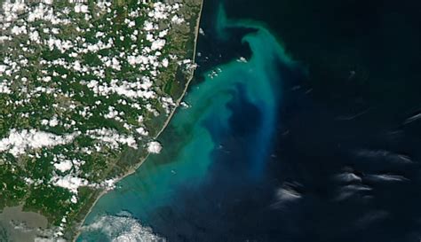 Satellite Images of Phytoplankton Blooms in Earth’s Oceans