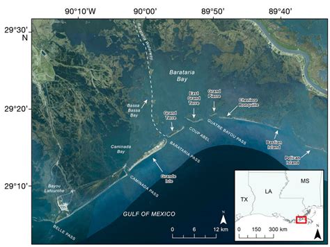 Barataria Bay (LA, USA) study area for bottlenose dolphin (Tursiops ...