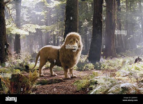 Narnia The Lion The Witch And The Wardrobe Aslan