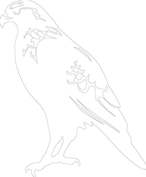 red-tailed hawk outline silhouette 38487731 Vector Art at Vecteezy