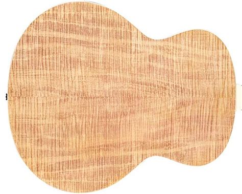 Guitar Tonewoods Guide (Acoustic & Electric) 2023 - Guitar Lobby