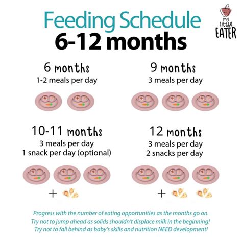 Feeding Schedules (6-12 months) - My Little Eater - Feel confident ...