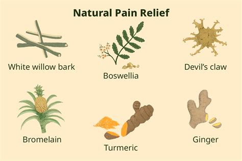 The Best Herbs for Natural Pain Relief