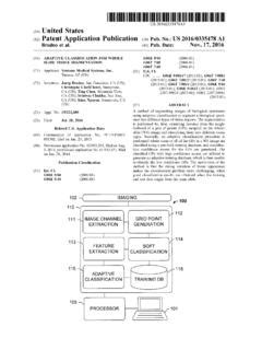 (19) United States (12) Patent Application Publication (10 ... / 19 ...