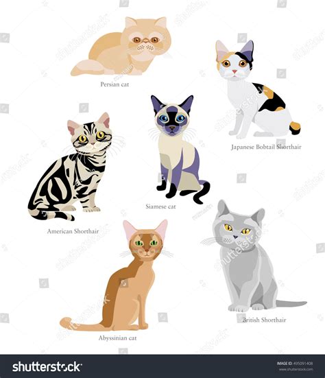 Different Breeds Cats Persian Japanese Bobtail Stock Vector (Royalty ...