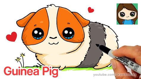 How to Draw a Guinea Pig Easy and Cute - YouTube