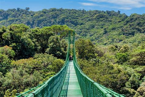 Monteverde Hanging Bridges - Find My Costa Rica