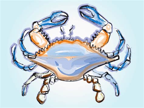 Crab Illustration Vector Art & Graphics | freevector.com