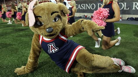 What It's Really Like To Be A College Mascot