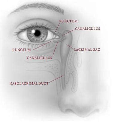 -- Lacrimal Duct Surgery - Swiss Ophthalmologist at Train Station (Tel ...