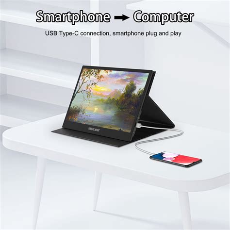 13.3" Portable USB Type-C Monitor Touchscreen, 1080P FHD, IPS, 100% DCI ...