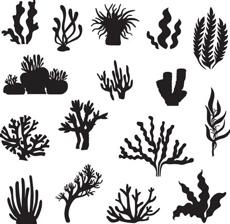 corals and seaweed silhouette clip art 15826959 Vector Art at Vecteezy